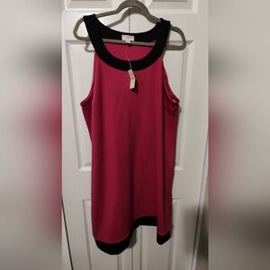 Ann Taylor Loft Magenta Dress